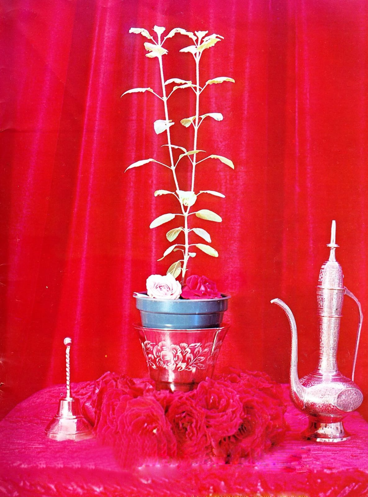 তুলসী দেবী ভক্তের ক্যান্সার আরোগ্য করলেন